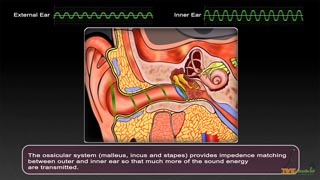 Attenuation Reflex