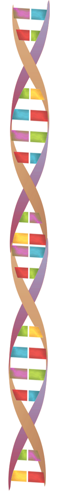 DNA