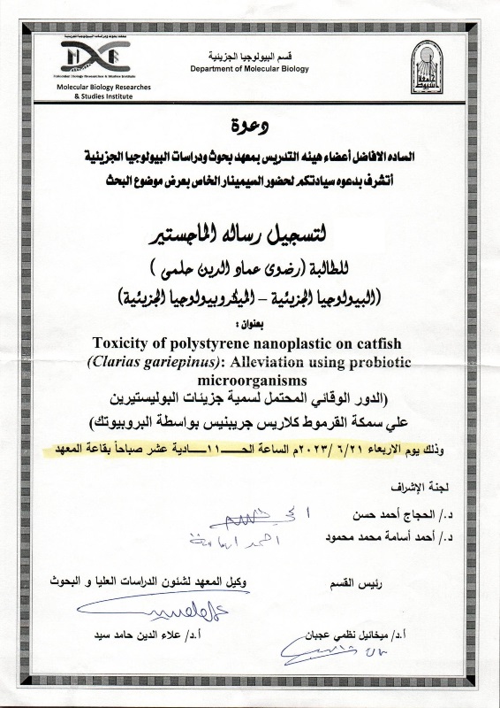 رضوى