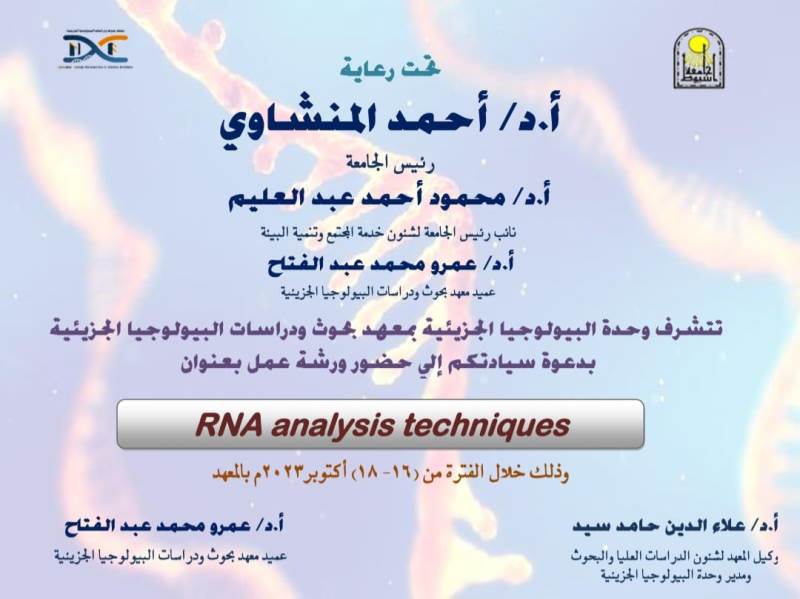 Rna