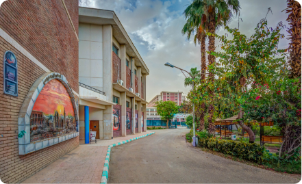 Department of medical-surgical  