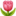 الوصف: 🌷
