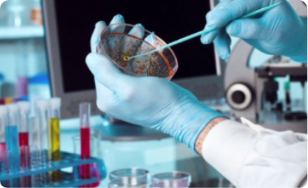 Department of Pharmaceutical Organic Chemistry
