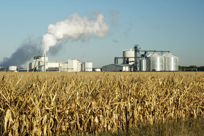 Science and Technology of Industrial Fermentation